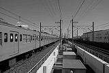 f0085495_23301932.jpg