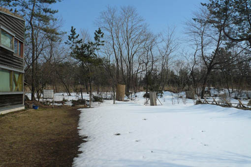 e0054299_1525692.jpg