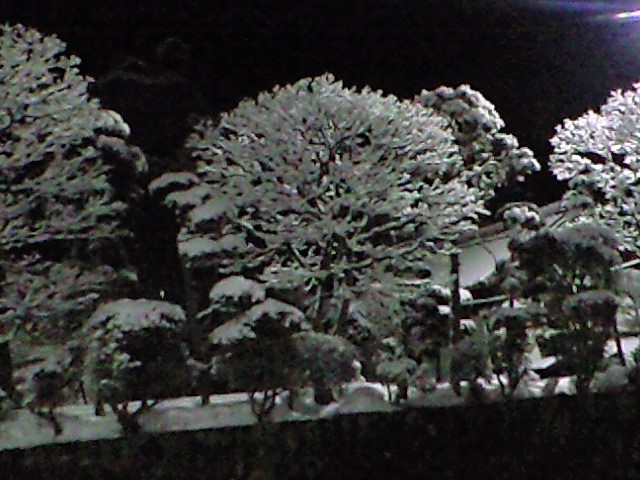 b0083902_21241772.jpg