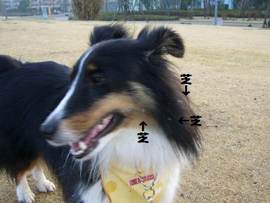 e0130008_22402455.jpg