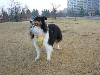 e0130008_22414877.jpg