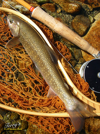 e0009009_052512.jpg