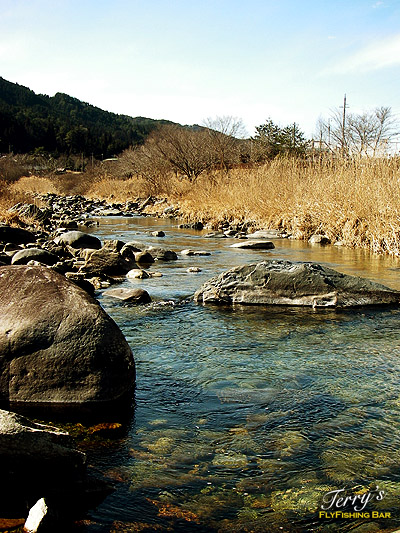e0009009_052945.jpg
