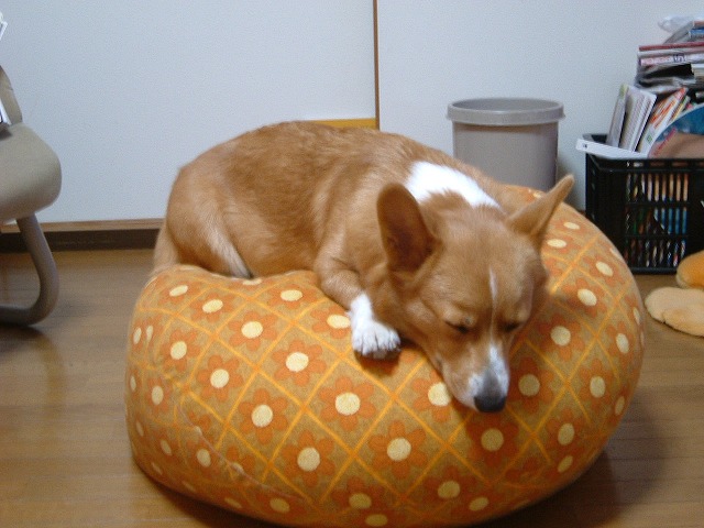 c0127617_10122529.jpg