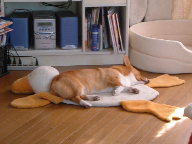 c0127617_10132792.jpg