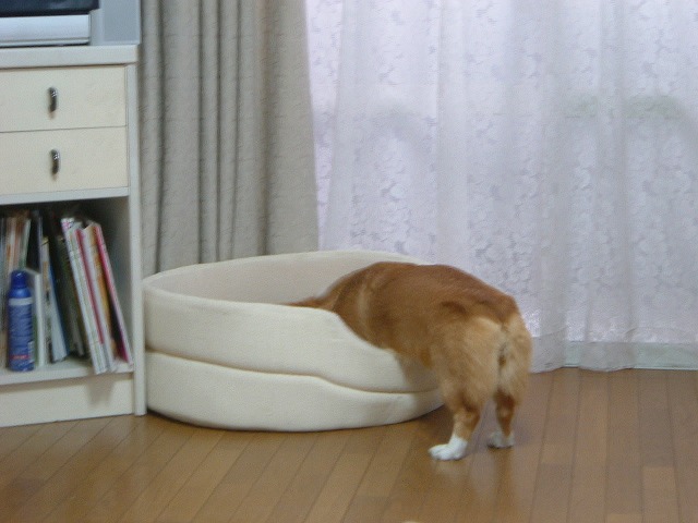 c0127617_1014992.jpg