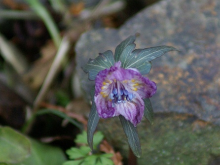 c0042418_9554841.jpg