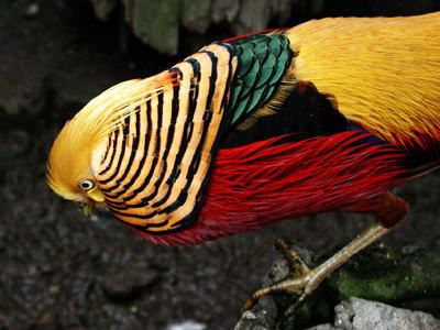d0035823_13381143.jpg
