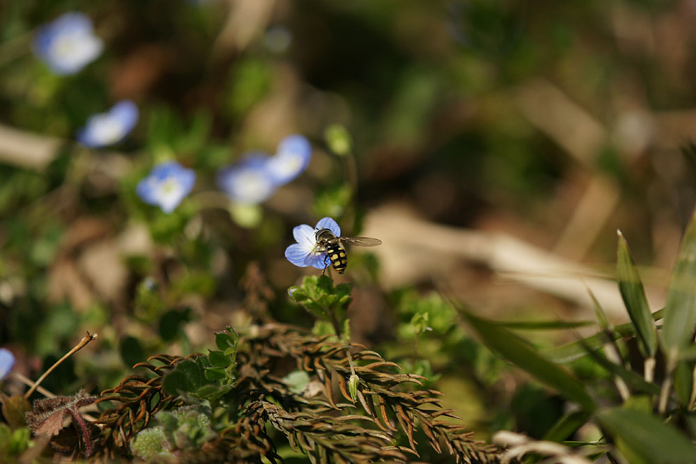 d0089024_122107.jpg