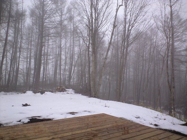 e0136424_9365756.jpg