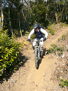 d0023725_23253753.jpg