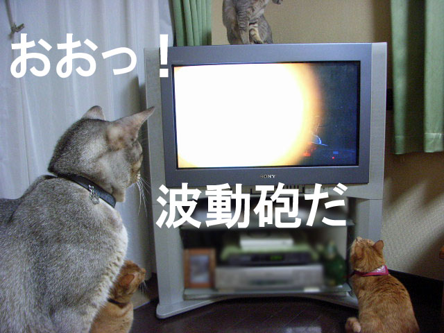 d0081025_21282373.jpg