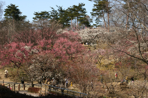 e0071225_02231.jpg