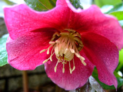 f0147025_19325043.jpg