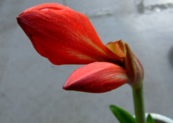 f0147025_1936263.jpg