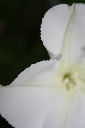 d0042827_2246428.jpg