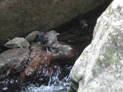 f0009128_20132374.jpg