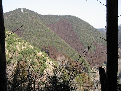 f0009128_2023614.jpg