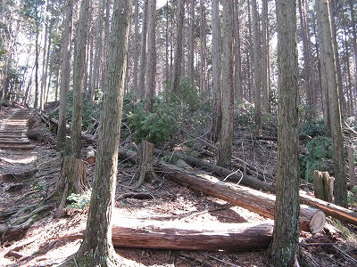 f0009128_204411.jpg