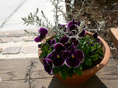 f0061334_21192681.jpg