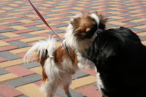 e0018143_15524313.jpg