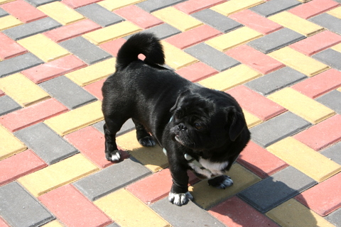 e0018143_1552669.jpg