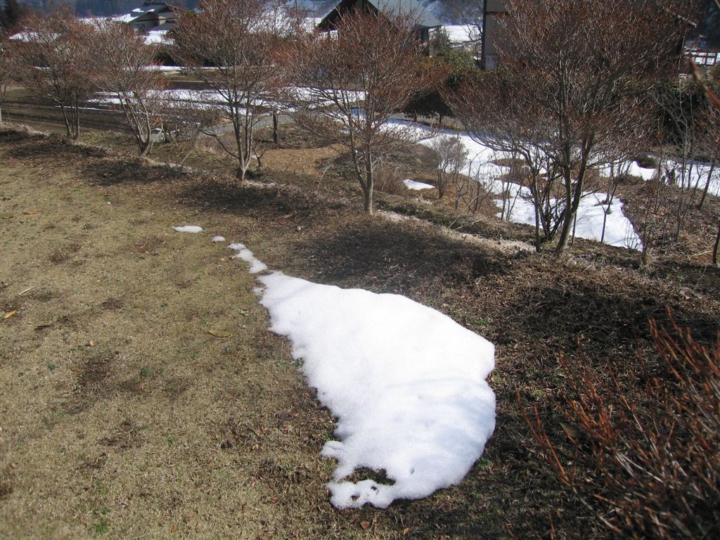 f0151044_658479.jpg