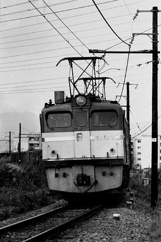 c0018747_013554.jpg