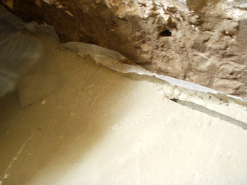 b0069848_6452015.jpg