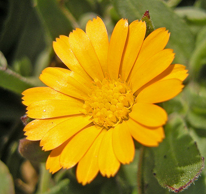 a0001354_2154996.jpg