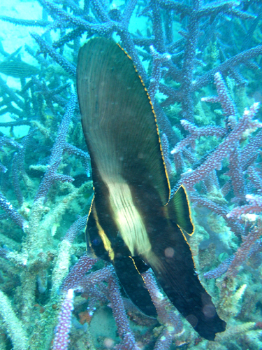 b0062363_217557.jpg