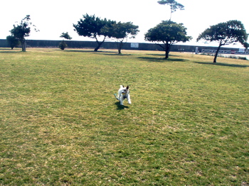 f0045872_21341480.jpg