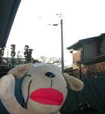 c0158573_2001036.jpg