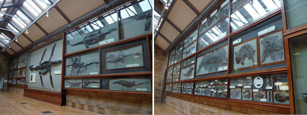 d0041074_3312544.jpg