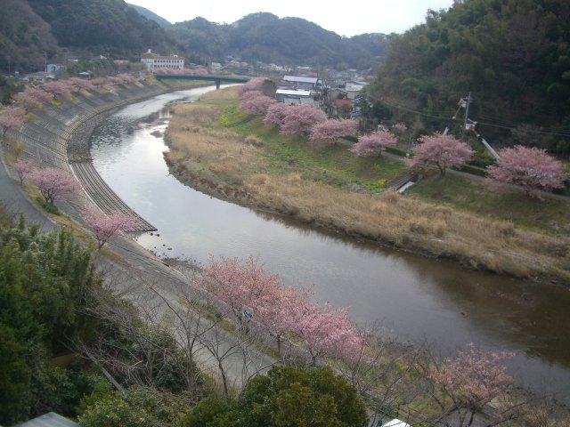 f0137275_5123914.jpg