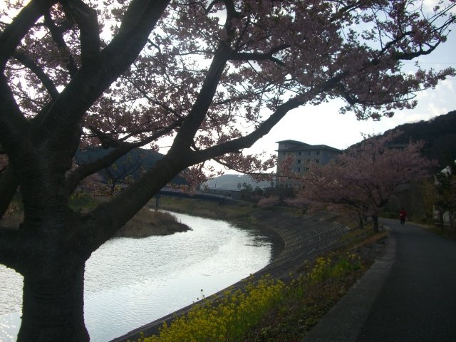 f0137275_517173.jpg