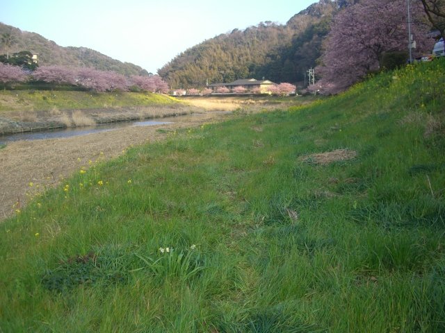 f0137275_5192176.jpg