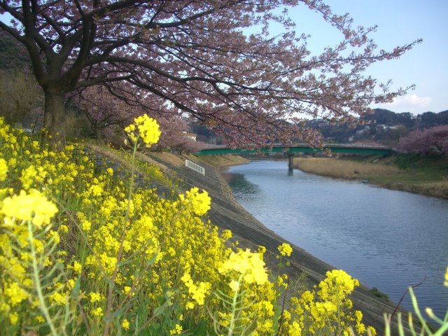 f0137275_5202834.jpg