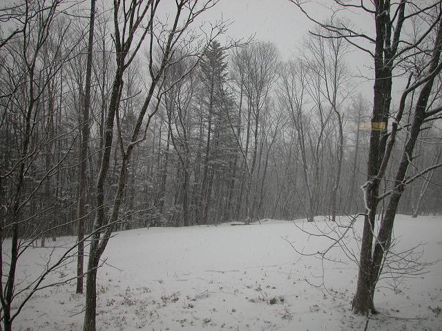 b0059978_2343199.jpg