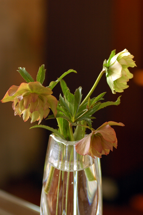 b0034284_14173636.jpg