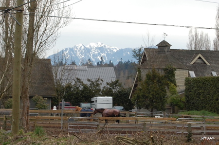d0129786_14274025.jpg