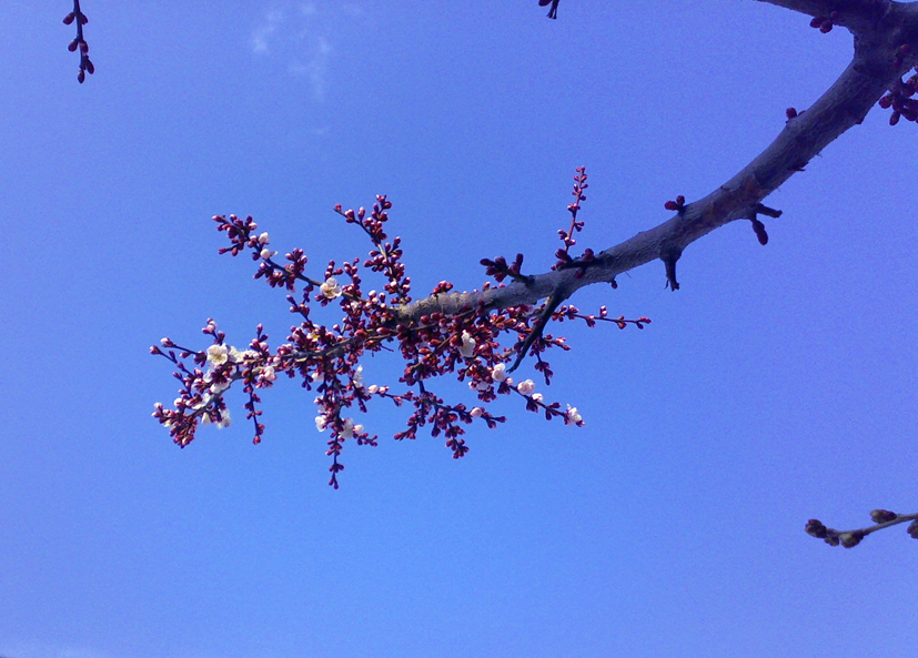 c0123189_213525.jpg
