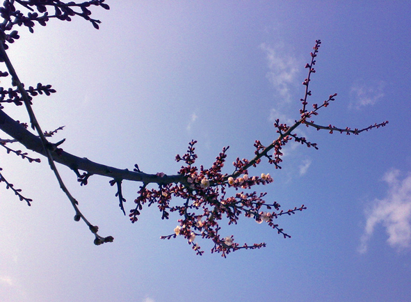 c0123189_2342851.jpg