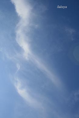 e0122194_1885724.jpg