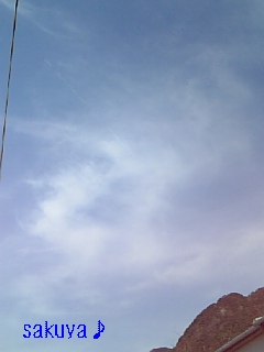 e0122194_97398.jpg