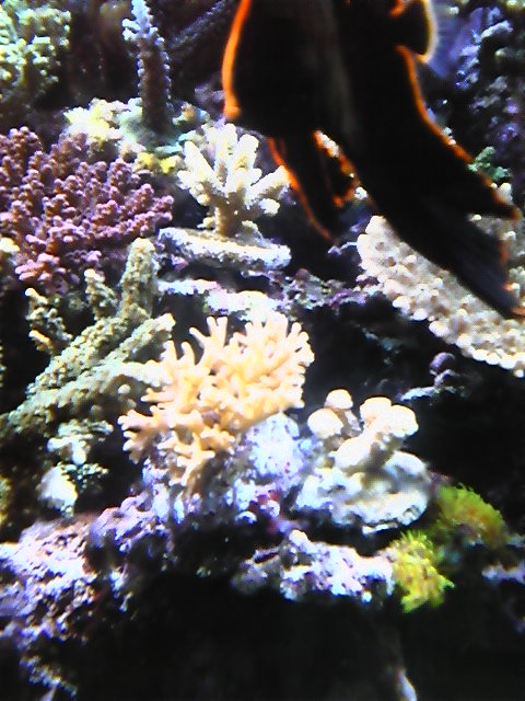 c0144699_2156998.jpg