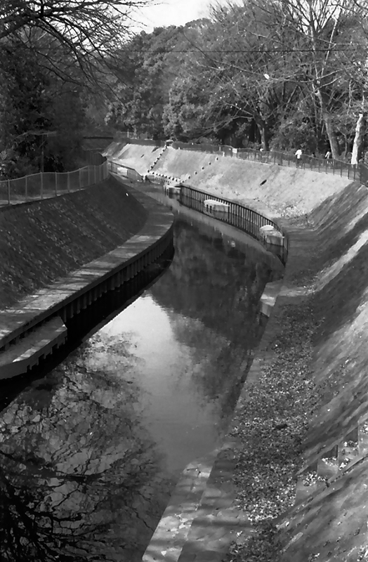 f0109201_8543572.jpg
