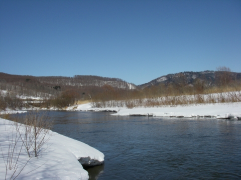 d0051707_20363.jpg