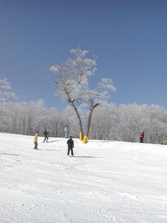 a0041508_23363763.jpg