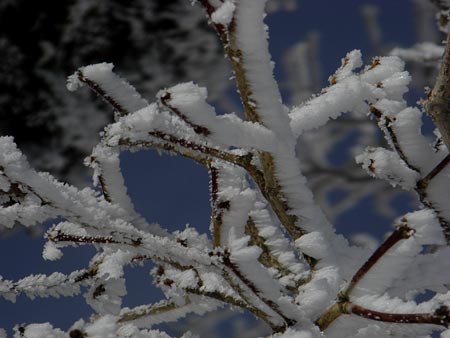 a0041508_23374833.jpg